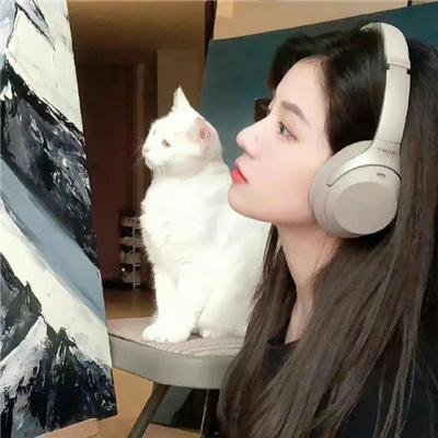 老虎搏懵